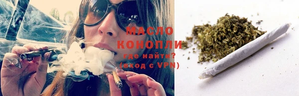молекула духа Бронницы