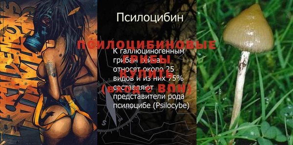 героин Бородино