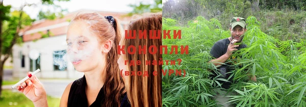 молекула духа Бронницы