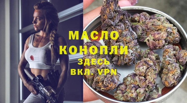 молекула духа Бронницы