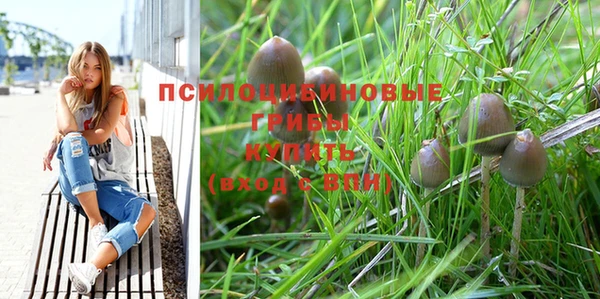 молекула духа Бронницы