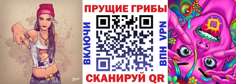 Купить  Мураши  Галлюциногенные грибы прущие грибы 