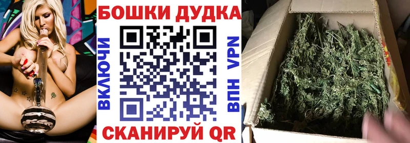 Купить  Мураши  Канабис ГИДРОПОН 